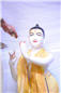 Abhishek (126).jpg